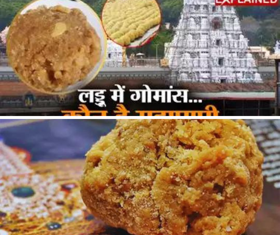 तिरुपति लड्डू में बीफ चर्बी