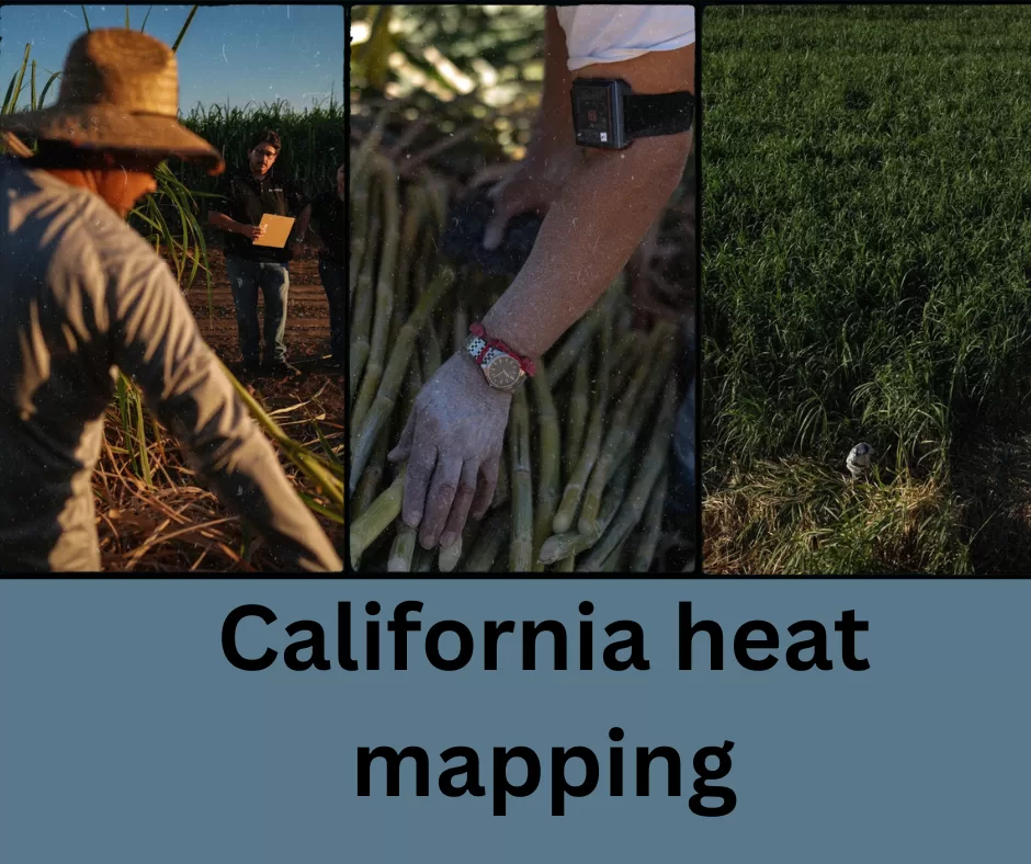 California Heat Mapping